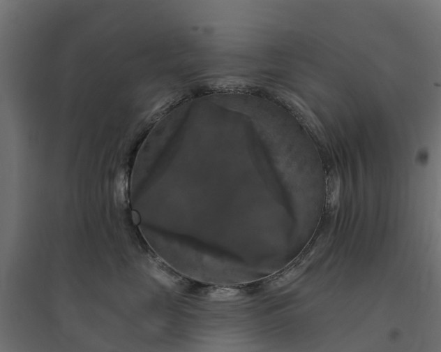 X0000094790669200711241403