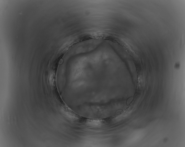 X0000094790671200711241403