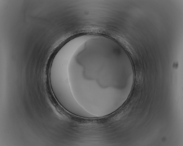 X0000094790674200711241402