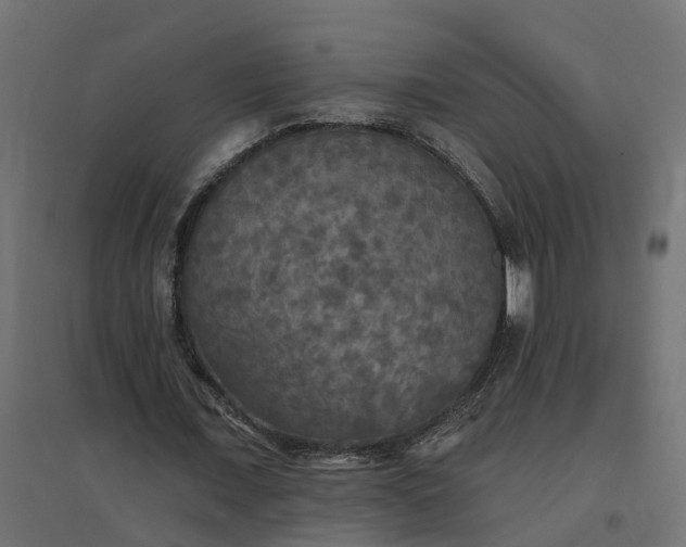 X0000094790675200711241402