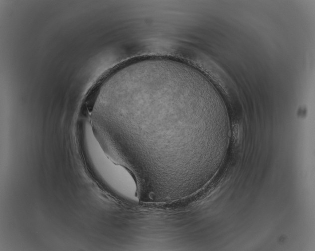 X0000094790676200711241402