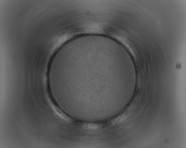 X0000094790677200711241402