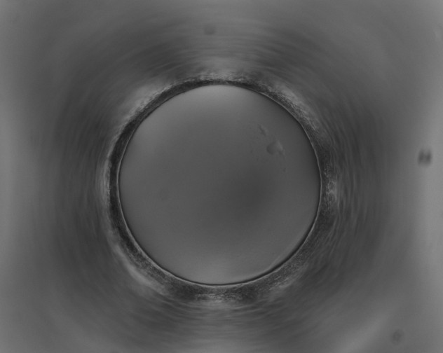 X0000094790678200711241402