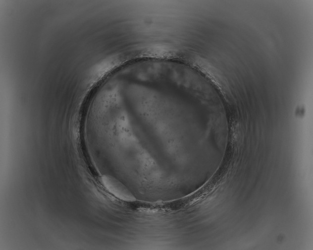 X0000094790679200711241402