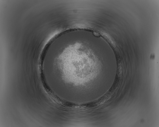 X0000094790680200711241402