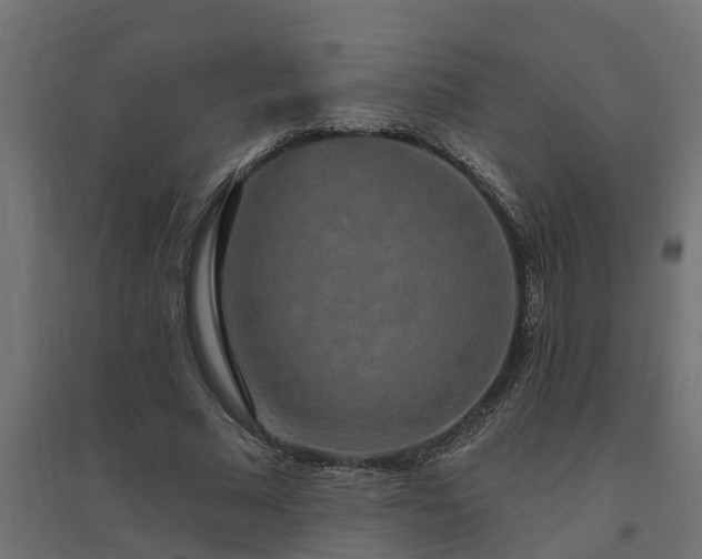 X0000094790681200711241402