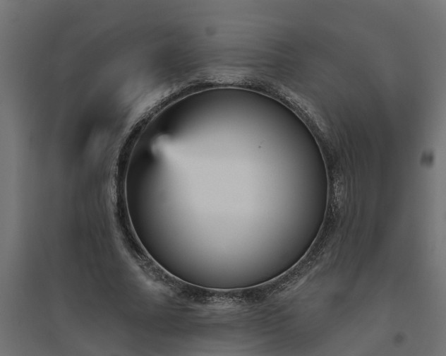 X0000094790682200711241402