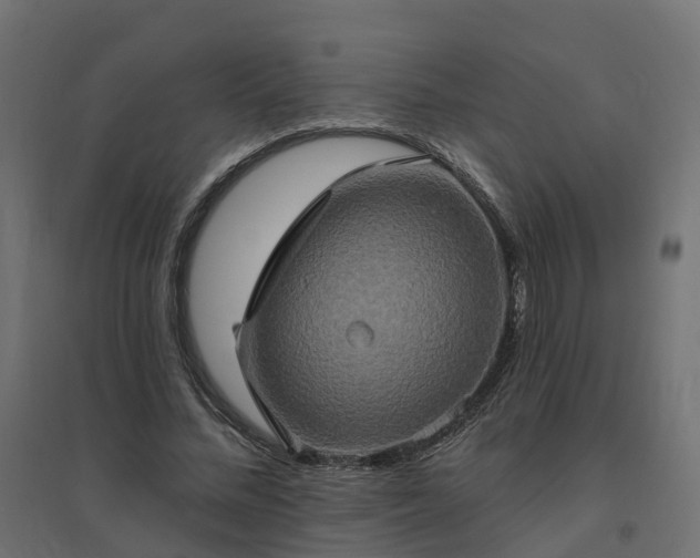 X0000094790684200711241402