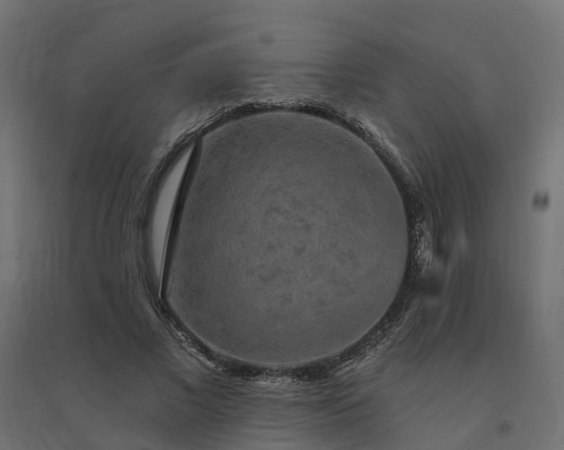 X0000094790685200711241402