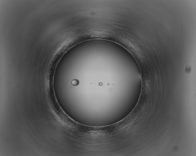 X0000094790686200711241402