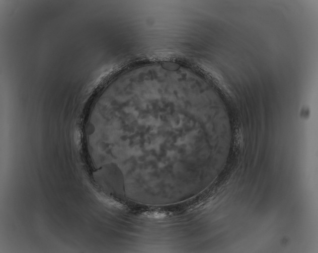 X0000094790687200711241402