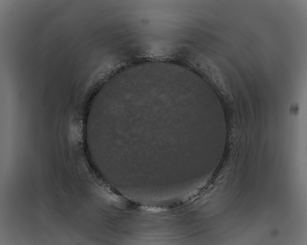 X0000094790689200711241402