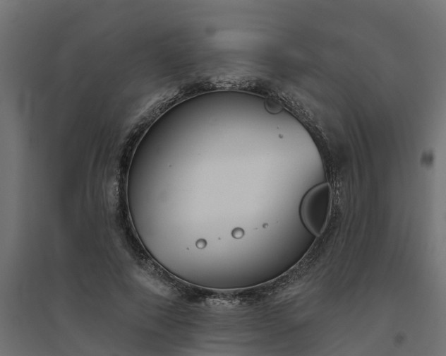 X0000094790690200711241402