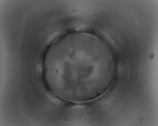 X0000094790691200711241402