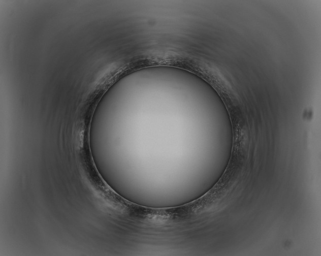 X0000094790694200711241402