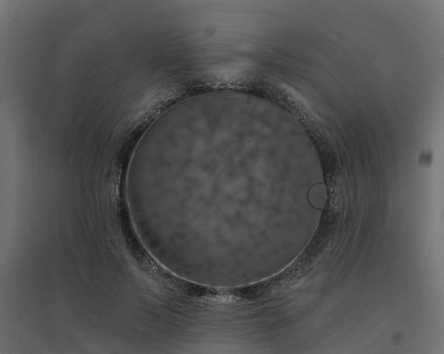 X0000094790695200711241402