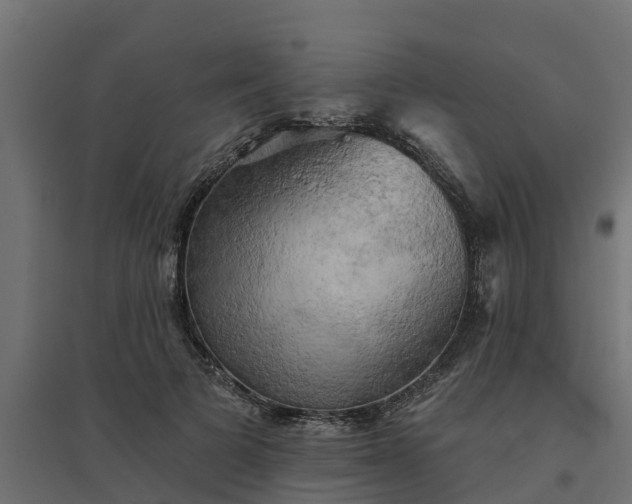 X0000094790697200711241402