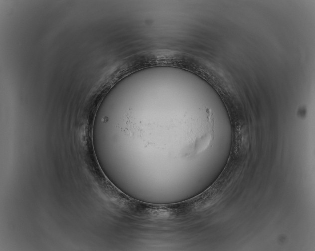 X0000094790698200711241402