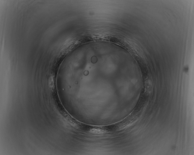 X0000094790699200711241402