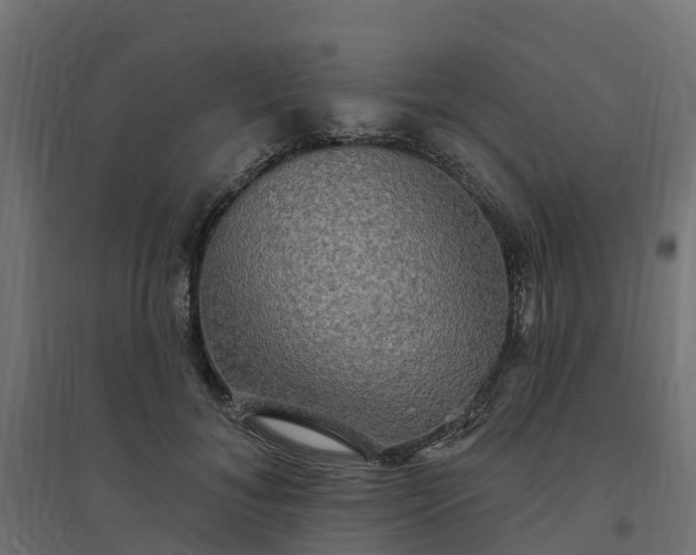 X0000094790700200711241402