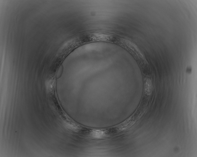 X0000094790701200711241402