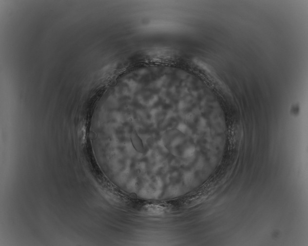 X0000094790703200711241402