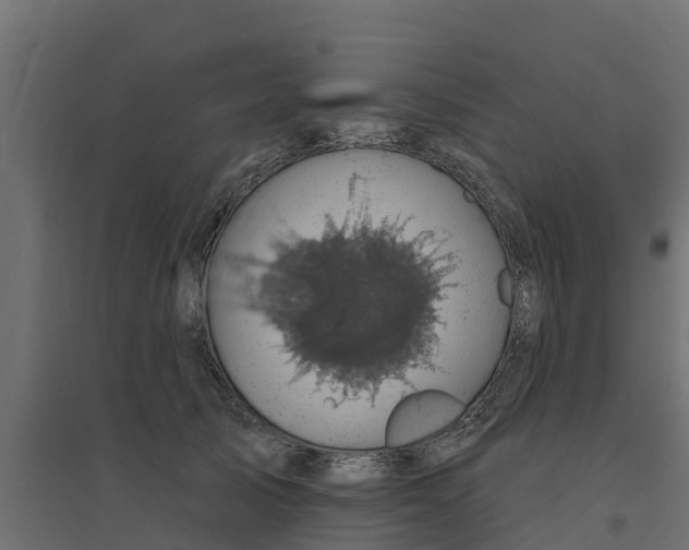 X0000094790705200711241402