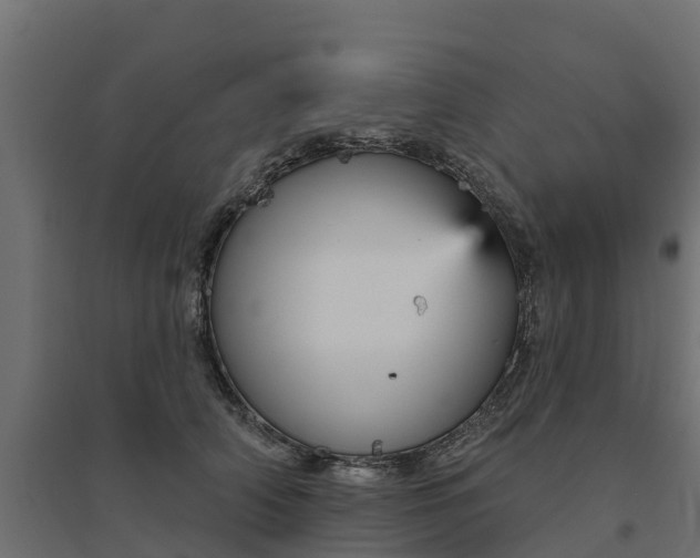 X0000094790706200711241402