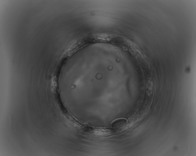 X0000094790707200711241402