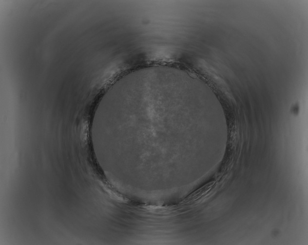 X0000094790708200711241402