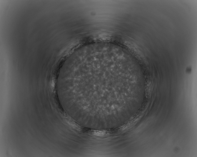 X0000094790709200711241402