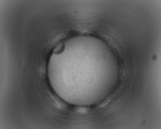 X0000094790710200711241402