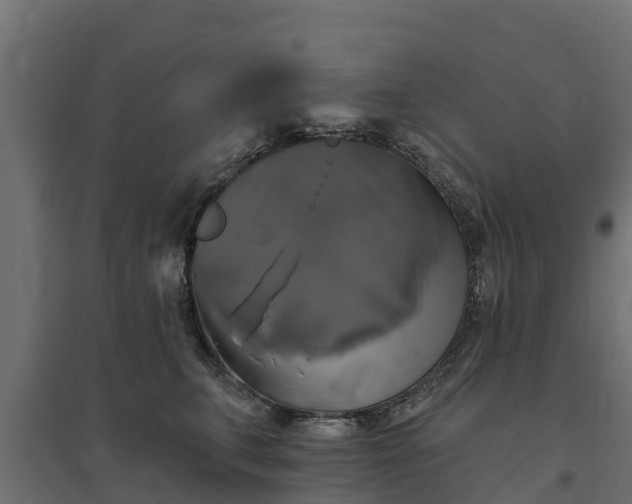 X0000094790711200711241402