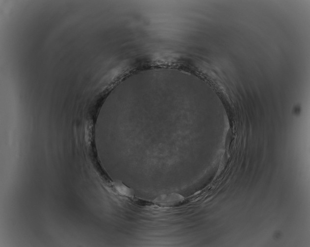 X0000094790712200711241402