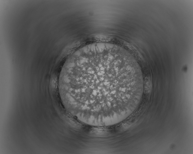 X0000094790713200711241402