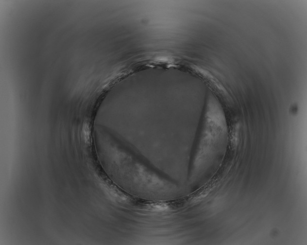 X0000094790715200711241402