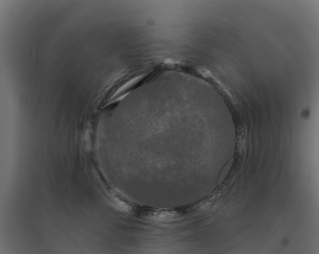 X0000094790716200711241401