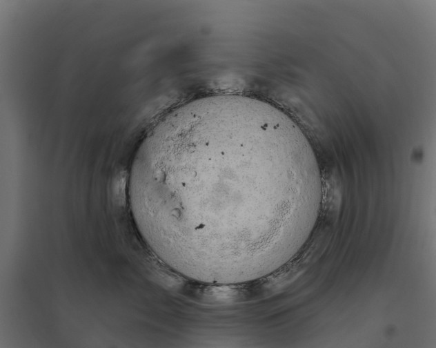 X0000094790717200711241401