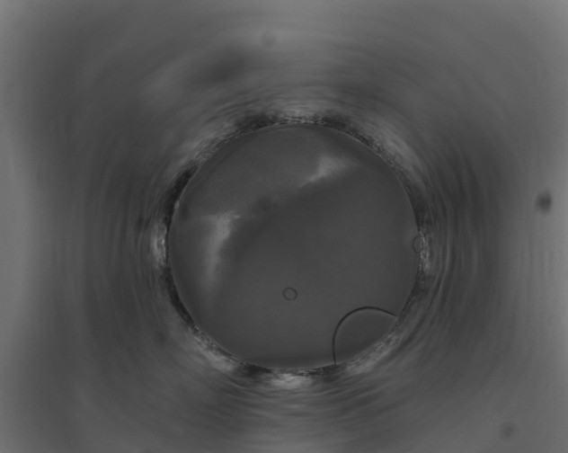 X0000094790718200711241401