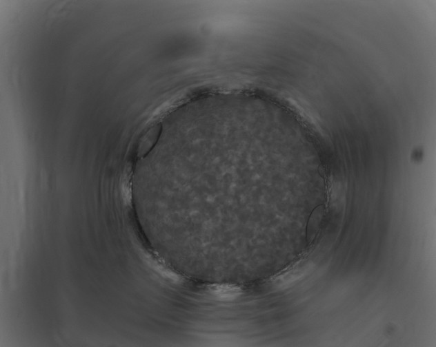 X0000094790719200711241401