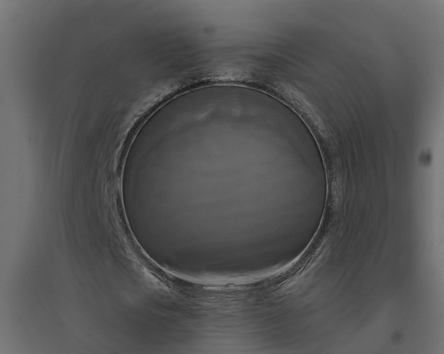 X0000094790721200711241401