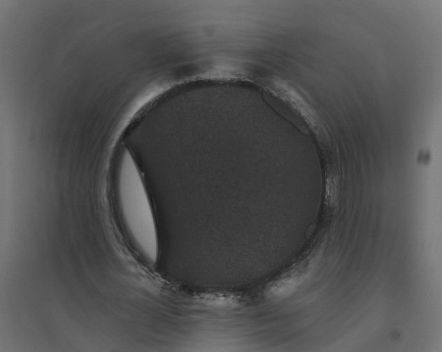 X0000094790724200711241401