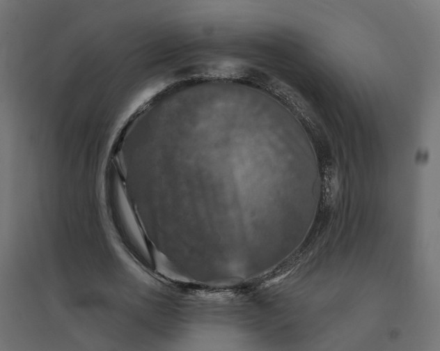 X0000094790726200711241401