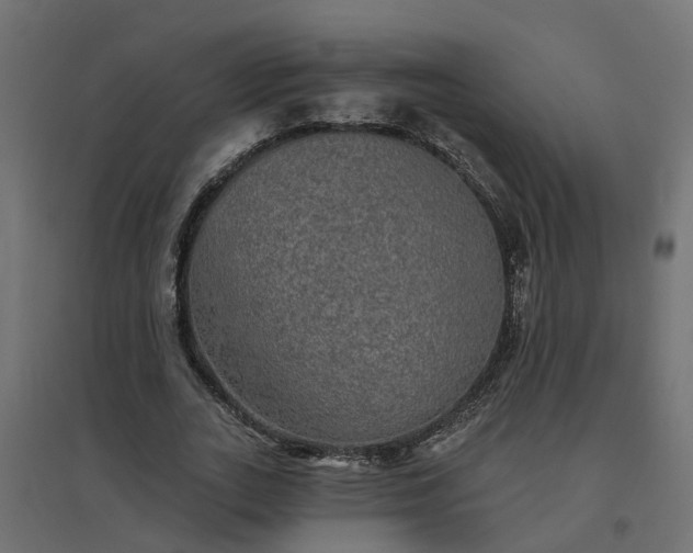 X0000094790727200711241401