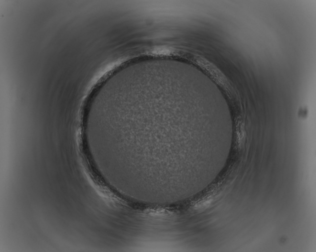 X0000094790728200711241401