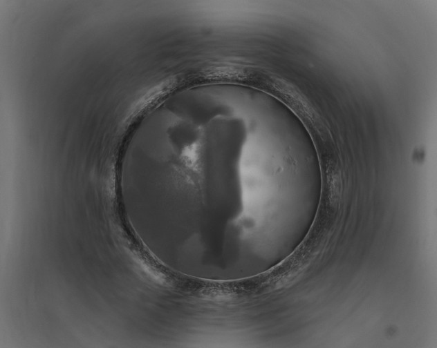 X0000094790729200711241401