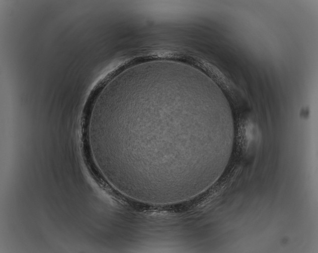 X0000094790730200711241401