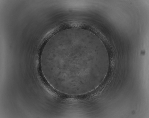 X0000094790733200711241401