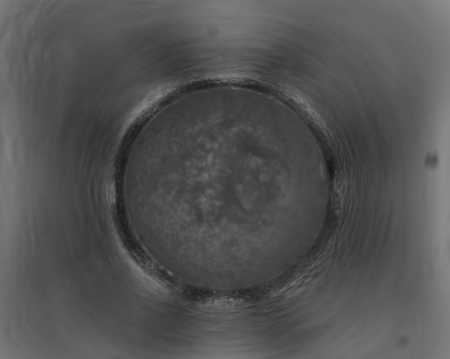 X0000094790734200711241401