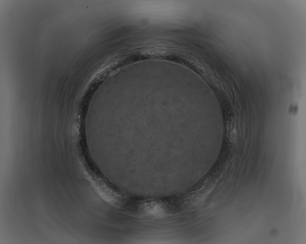 X0000094790735200711241401